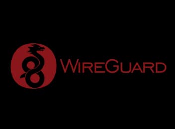 Wireguard Logo