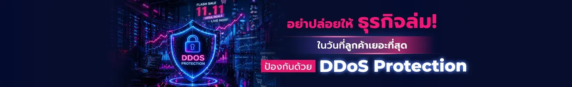 DDoS Protection